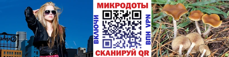 Купить где  Жирновск  Псилоцибиновые грибы мицелий 
